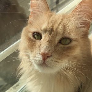 Meet your Posher, Ashlyn